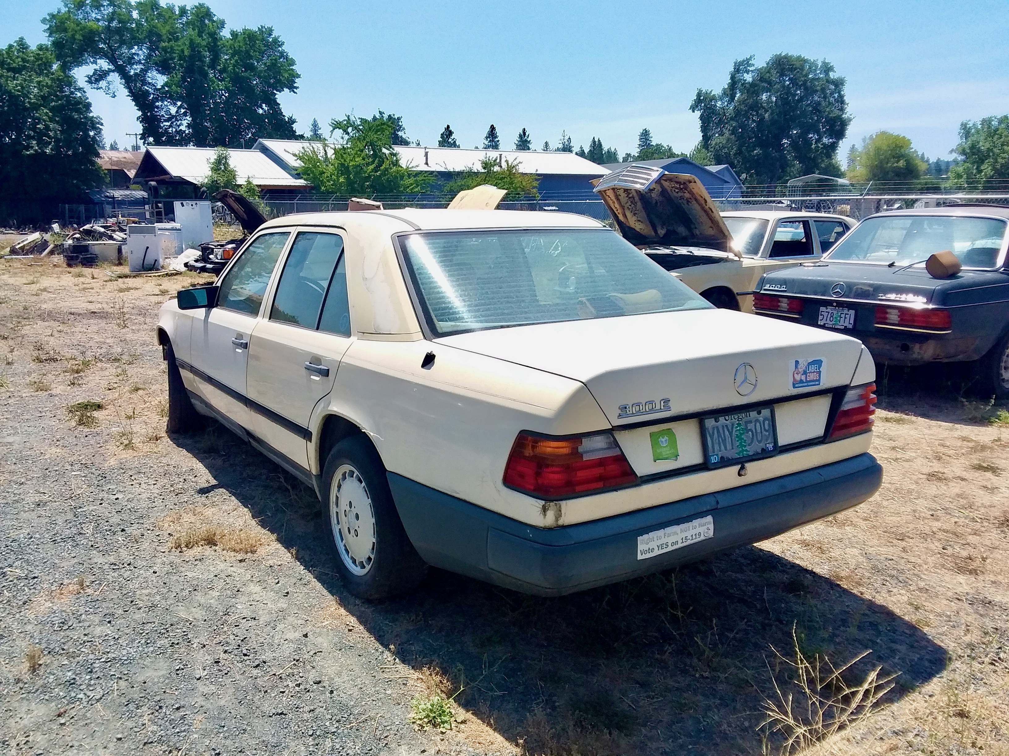 W124 bumper