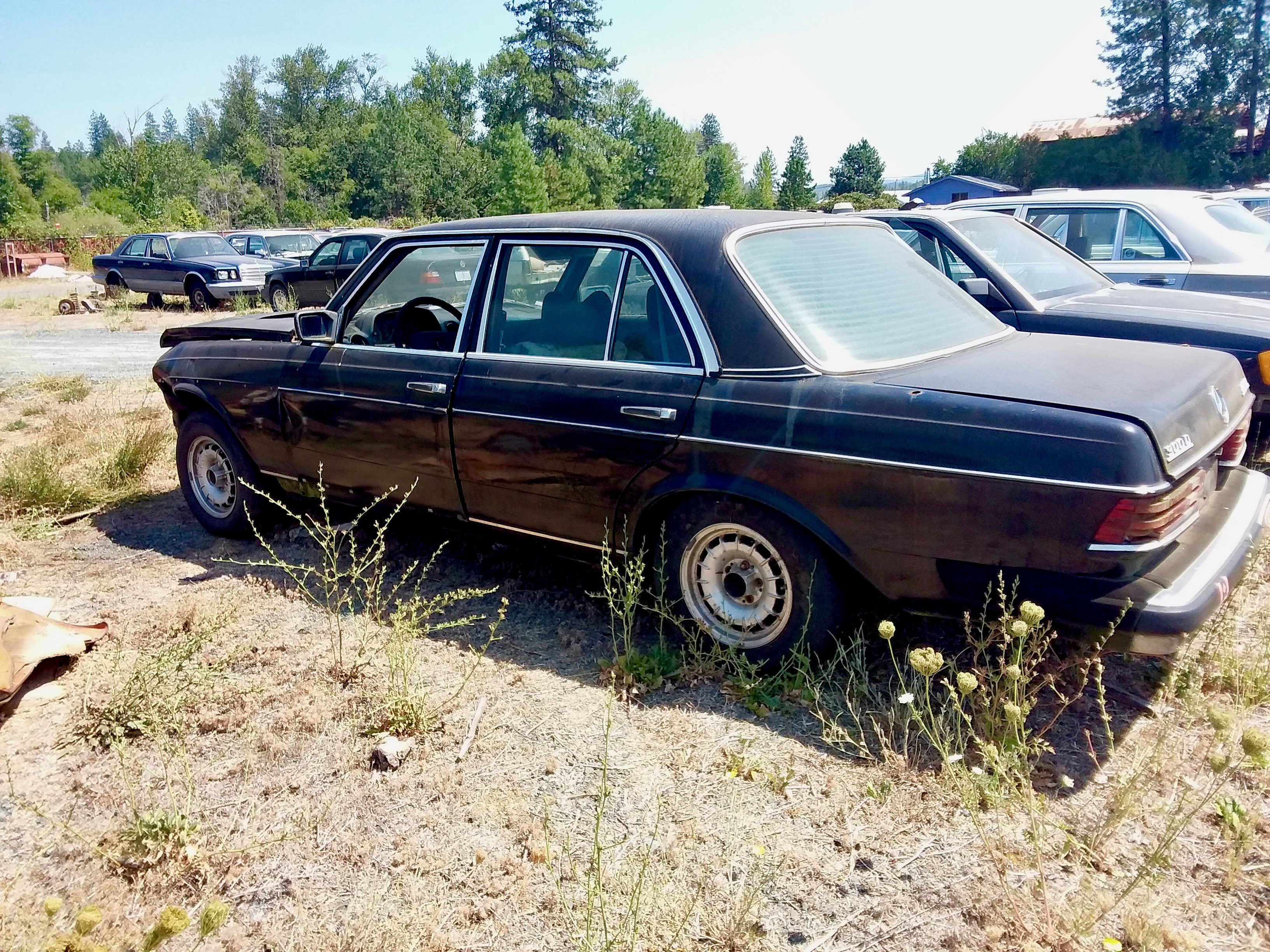 Mercedes w123 parts