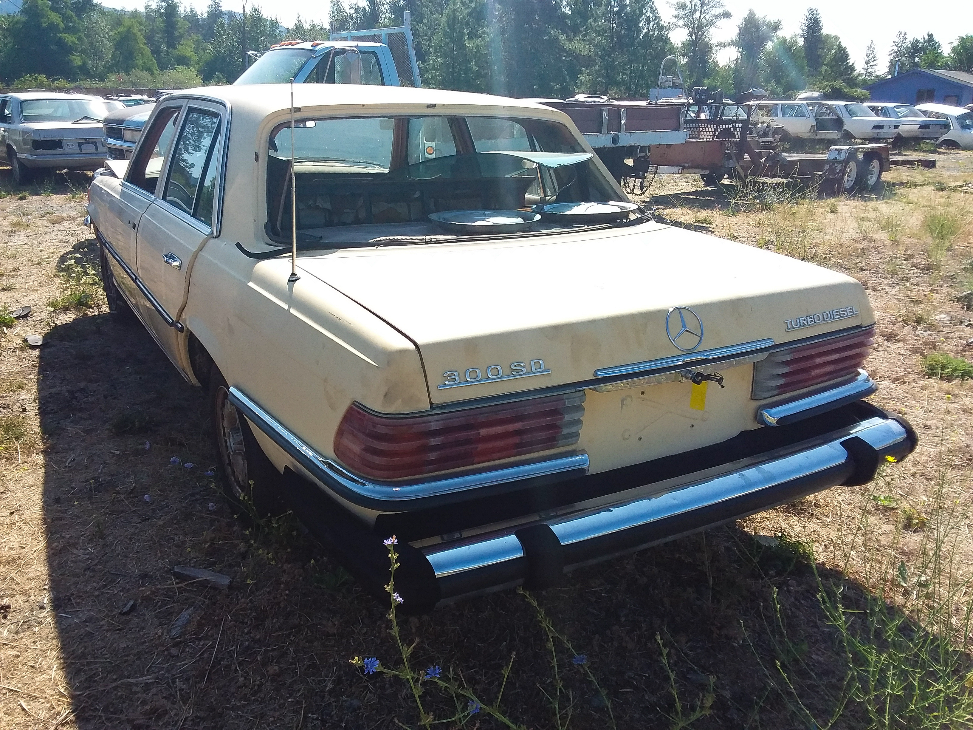 W116 300SD for parts - trim